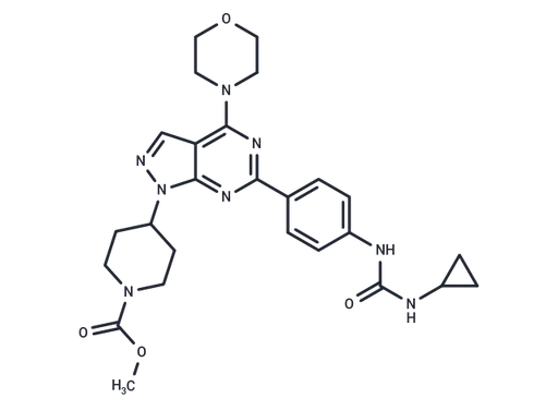 WYE-23