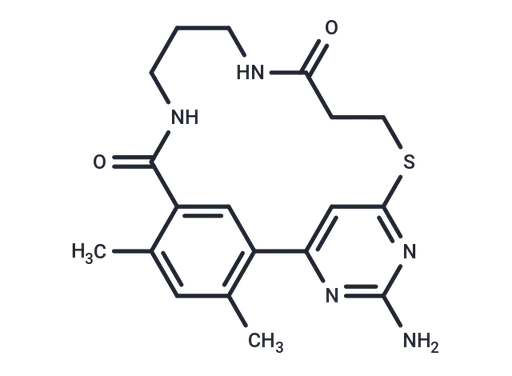 CH5164840