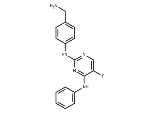 CZC-8004