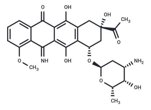 5-Iminodaunorubicin