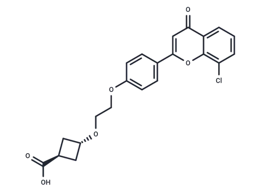 trans-ccc_R08