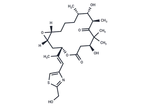 Epothilone E