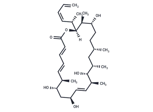 Dictyostatin