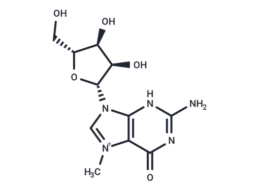 7-Methylguanosine