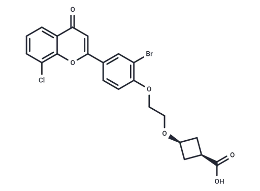 HBV-IN-30