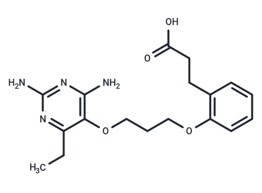 DHFR-IN-5