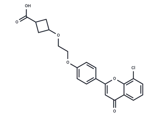 ccc_R08