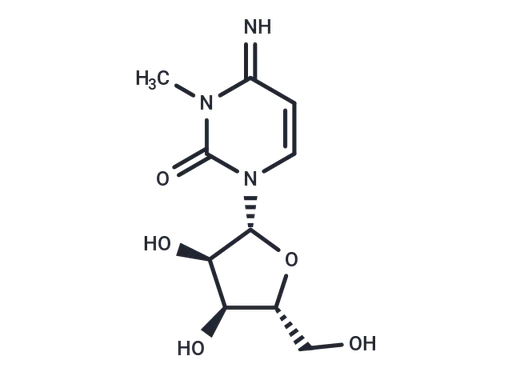 3-Methylcytidine