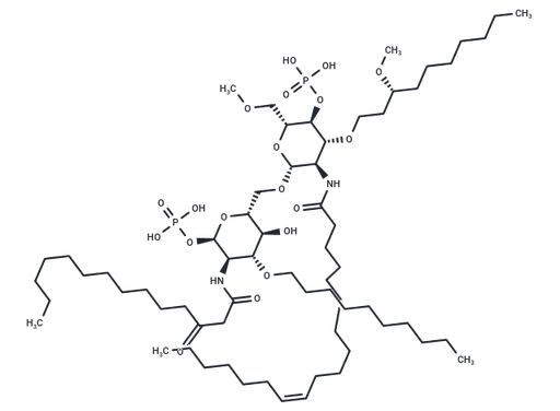 Eritoran