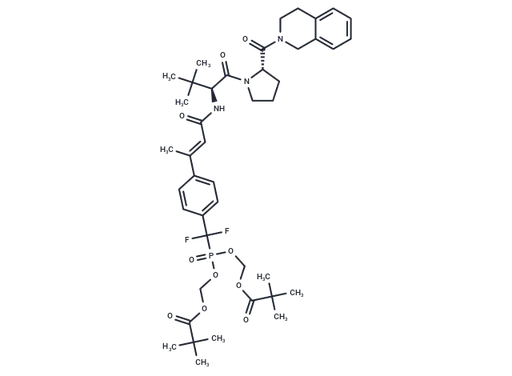 PM-81I