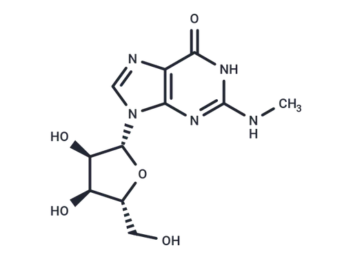 N2-Methylguanosine