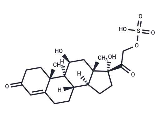 Cortisol sulfate