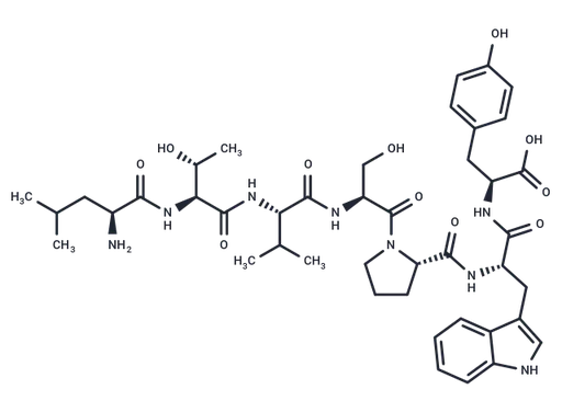 ErbB-2-binding peptide
