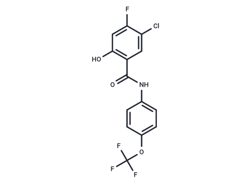 SARS-CoV-2-IN-39
