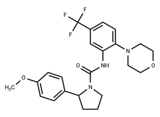 FAK activator 1