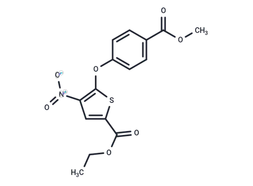 Wu-5