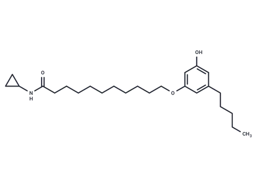 CB-25