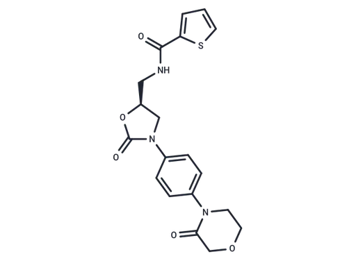 Dechloro Rivaroxaban