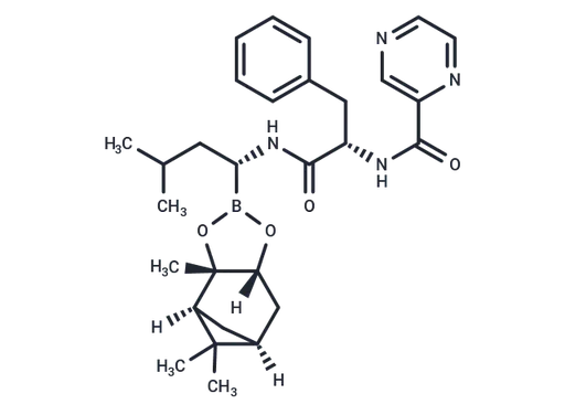 Bortezomib-pinanediol