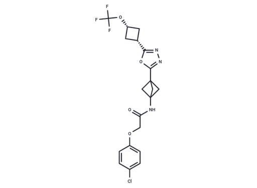 DNL343