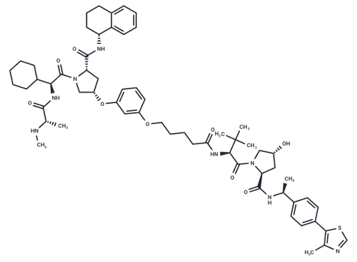 CST626