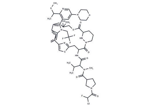 KRAS G12C inhibitor 58