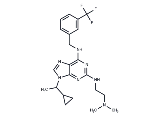 NCC007
