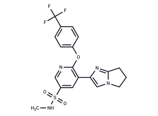 TEAD-IN-6