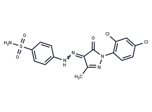 hCAIX/XII-IN-8