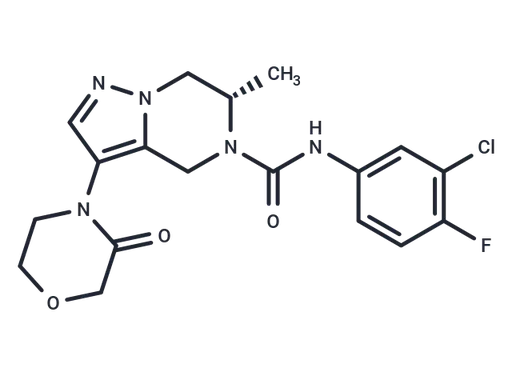 HBV-IN-41