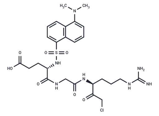 Dansyl-Glu-Gly-Arg-Chloromethylketone