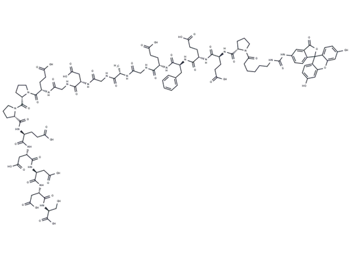 FITC-εAhx-HHV-2 Envelope Glycoprotein G (561-578)