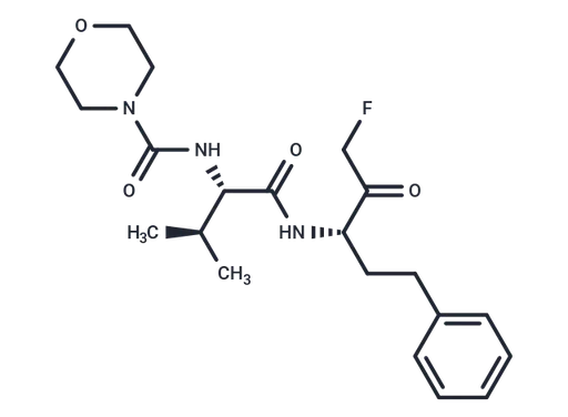 Calpain inhibitor V
