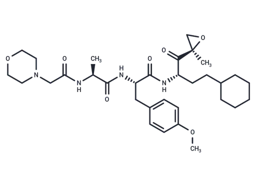 Proteasome β2c/i-IN-1