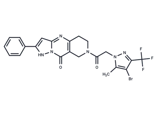 PAT1inh-B01