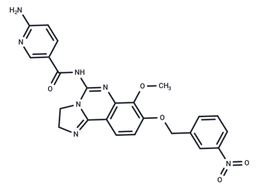 MIPS-21335