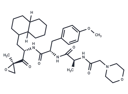 LU-002i