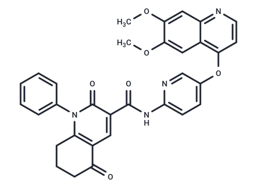ONO-7475
