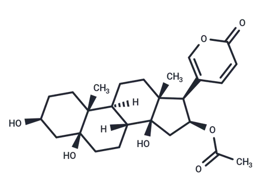 5β-Hydroxybufotalin
