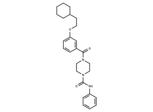 TM2 TEAD inhibitor