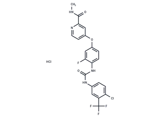 Regorafenib Hydrochloride