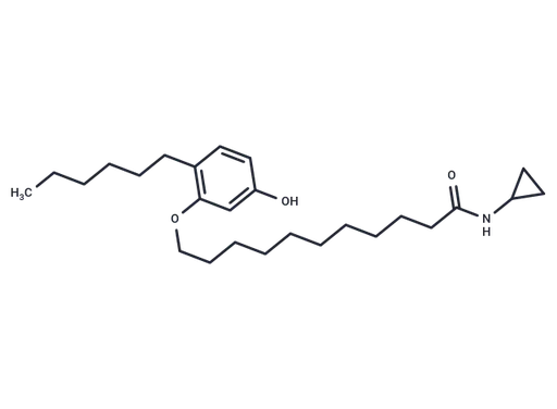 CB-52