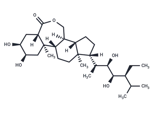 28-High Brassinolide