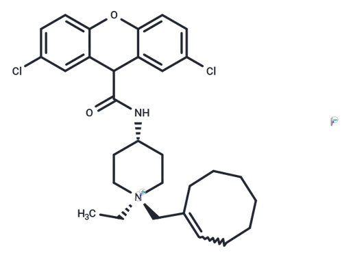 trans-J-113863