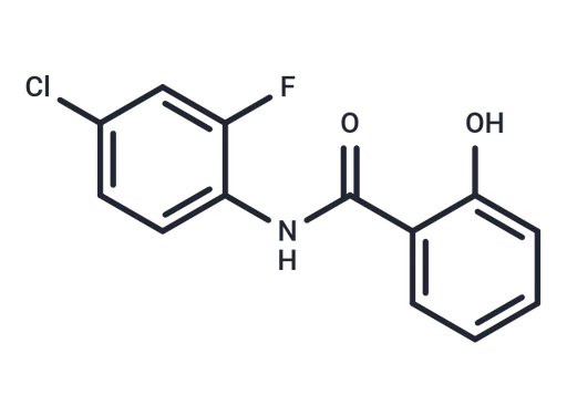 NDMC101