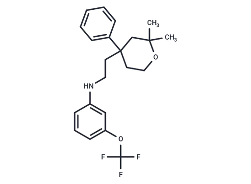 ICMT-IN-55