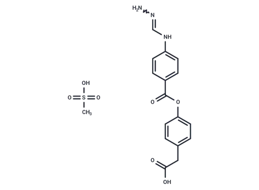 FOY 251