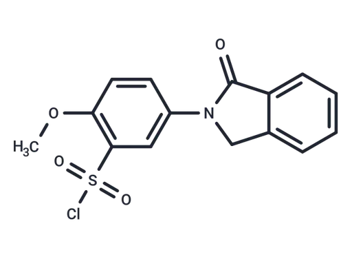 Phthalimidylbenzenesulfonyl chloride