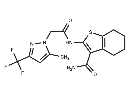 HBT1