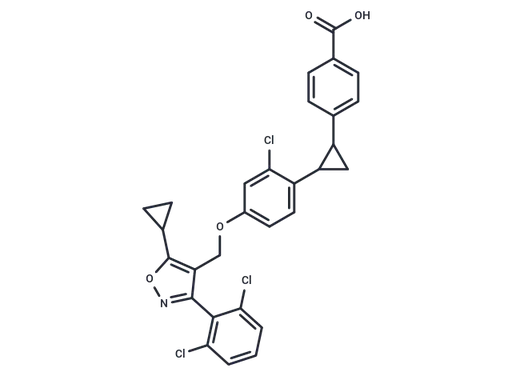 PX20606